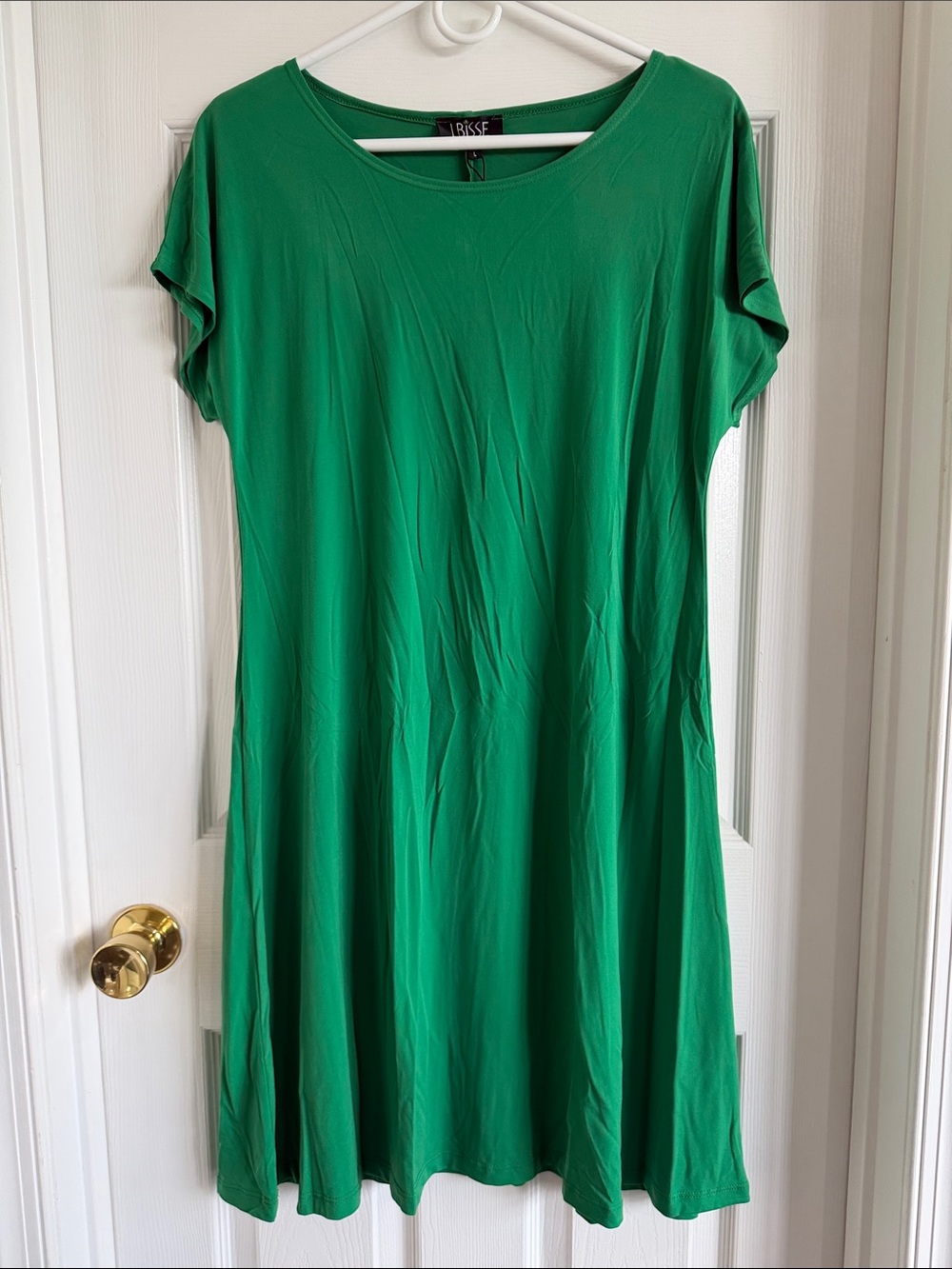 NWT Laisse Green Short Sleeve Swing Mini Dress